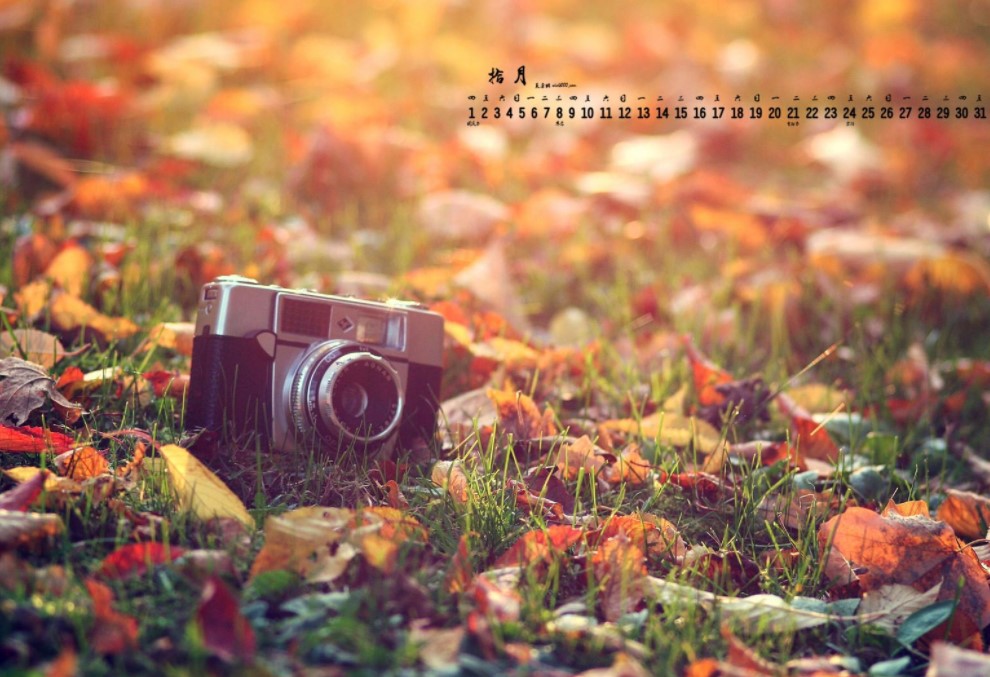 李明泉：互聯網催生文藝評論表達與傳播創新